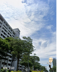 Blk 550 Bedok North Avenue 1 (Bedok), HDB 3 Rooms #506276681